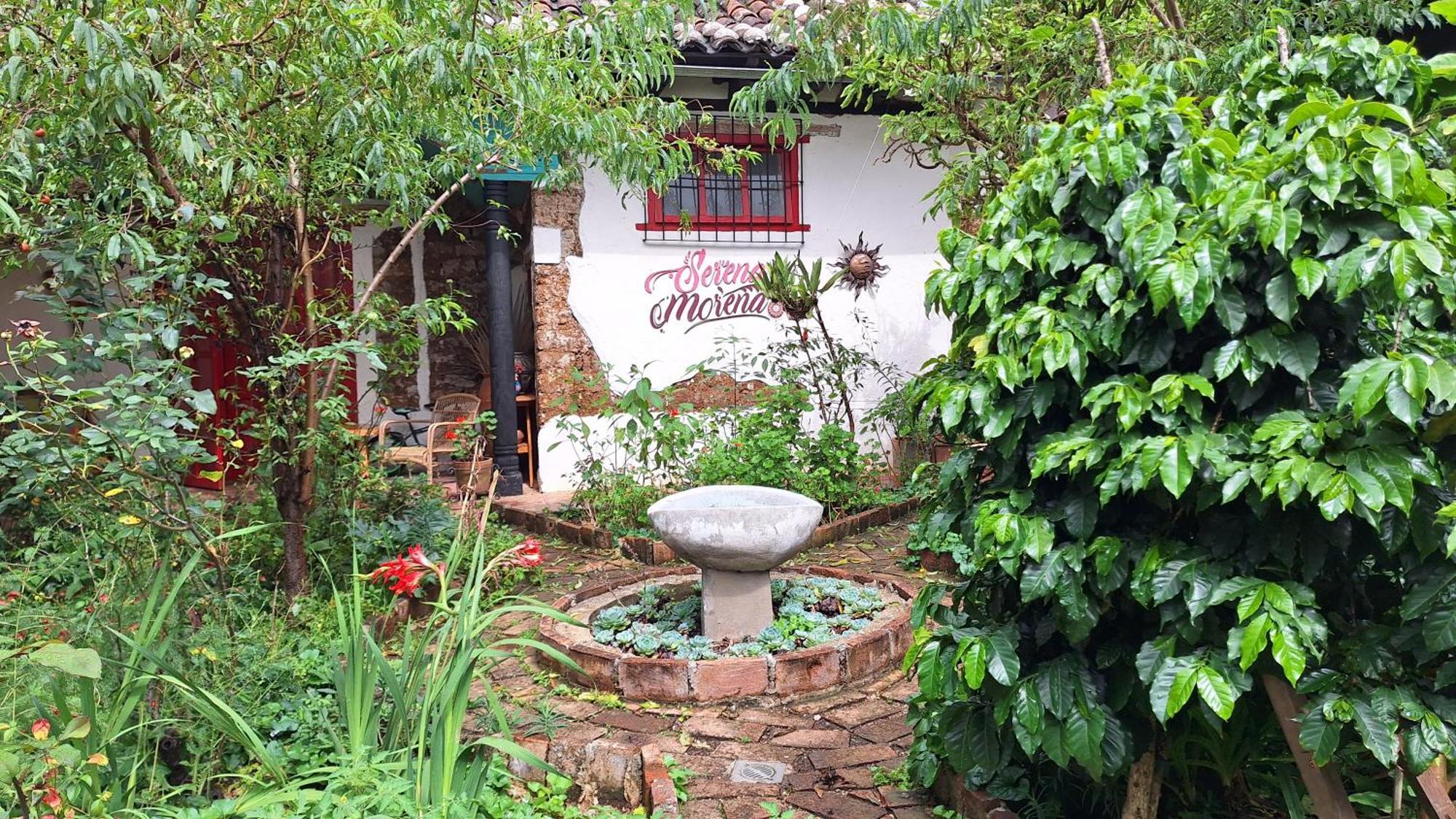 Serena Morena San Cristobal de las Casas Bagian luar foto