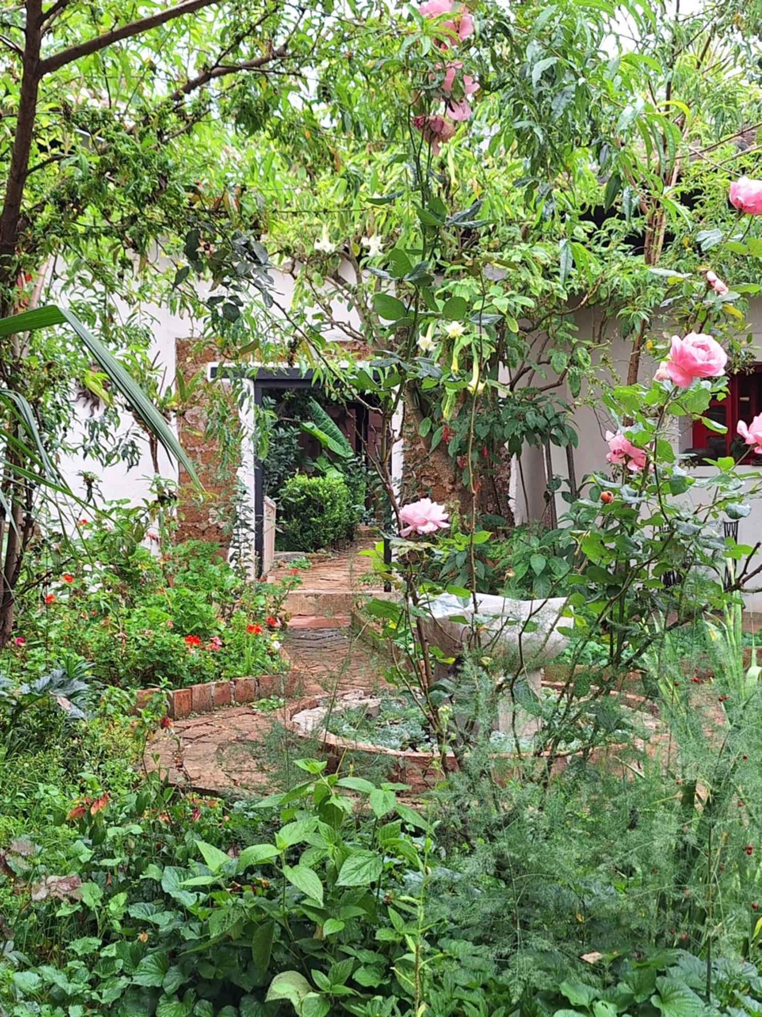 Serena Morena San Cristobal de las Casas Bagian luar foto